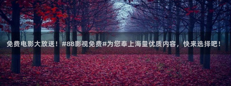 一区二区麻豆电影网