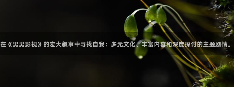 麻豆看片在线观看：在《男男影视》的宏大叙事中寻找自我：多元文化、丰富内容和深度探讨的主题剧情。