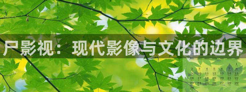 国产麻豆一区二区三区视频大全