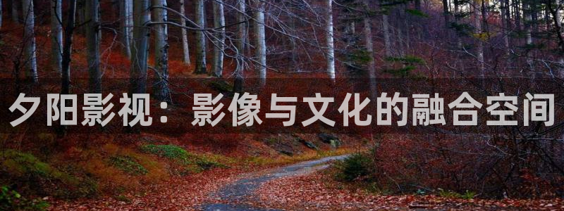 麻豆免费在线看片：夕阳影视：影像与文化的融合空间