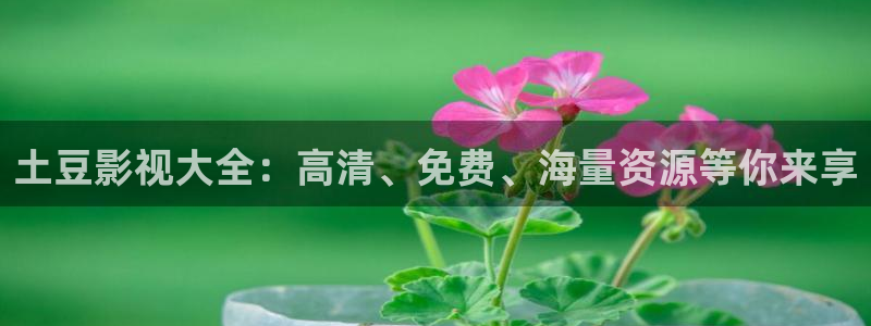 麻豆免费视频免费版