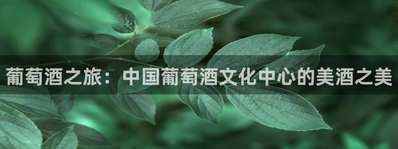 麻豆影院手机在线观看