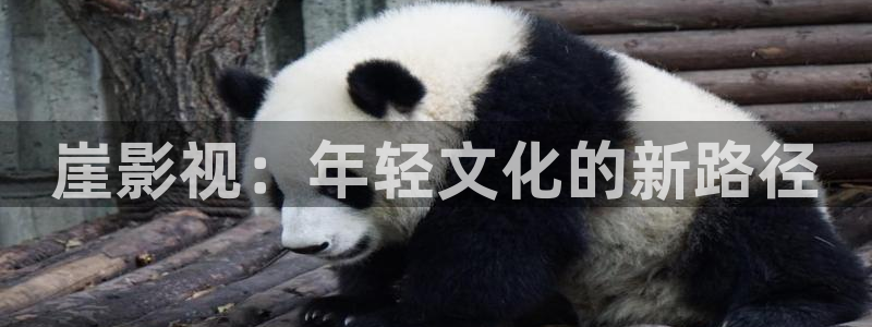 麻豆在线影院：崖影视：年轻文化的新路径