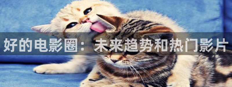 国产麻豆电影在线：好的电影圈：未来趋势和热门影片
